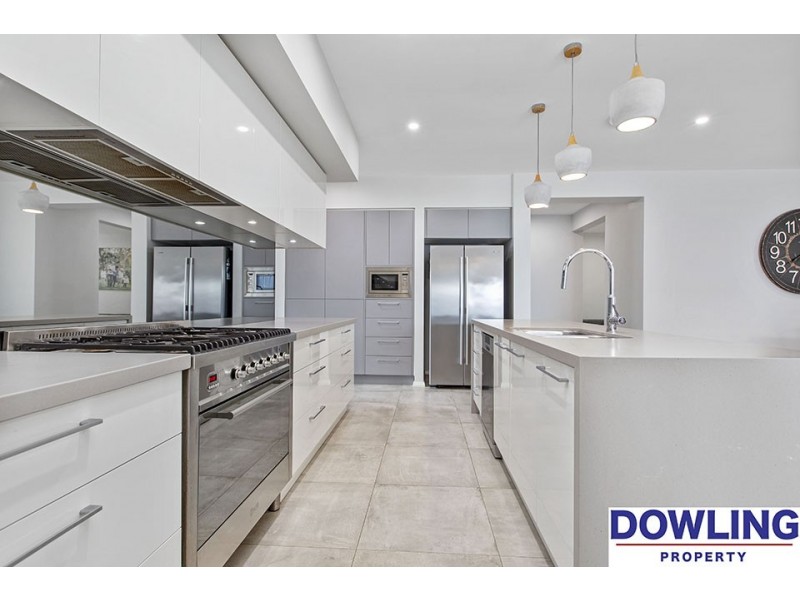 62 Dragonfly Drive, Chisholm NSW 2322