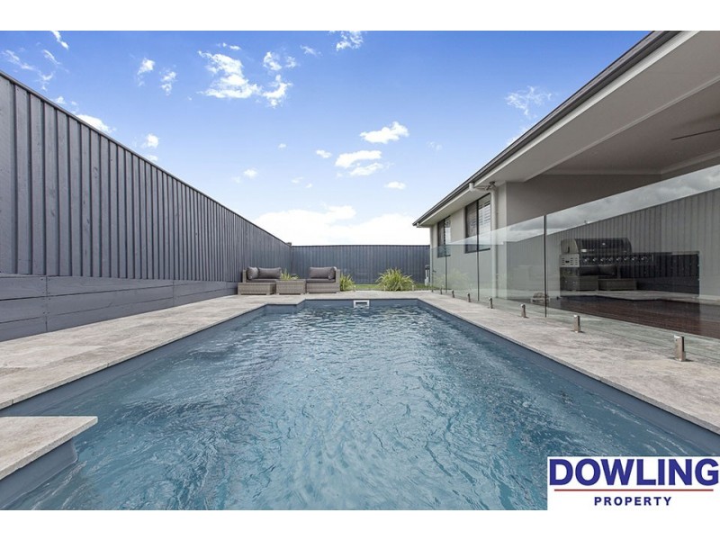 62 Dragonfly Drive, Chisholm NSW 2322
