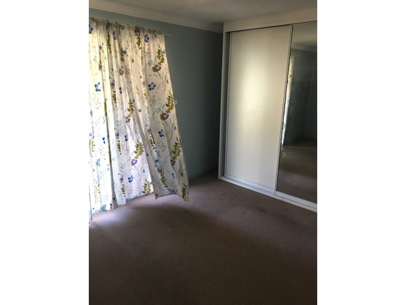 1/44 Kookaburra Parade, Woodberry NSW 2322