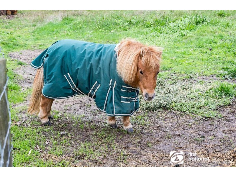 1 Spring Road, Belgrave South VIC 3160