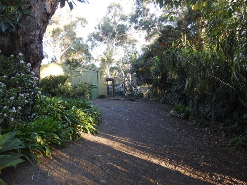 19 Currajong Avenue, Selby VIC 3159