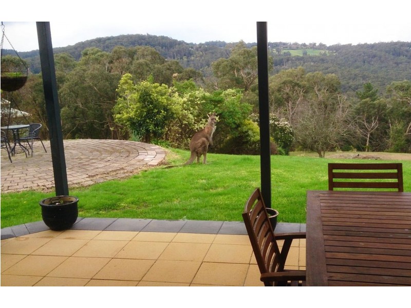 28 Temple Road, Selby VIC 3159