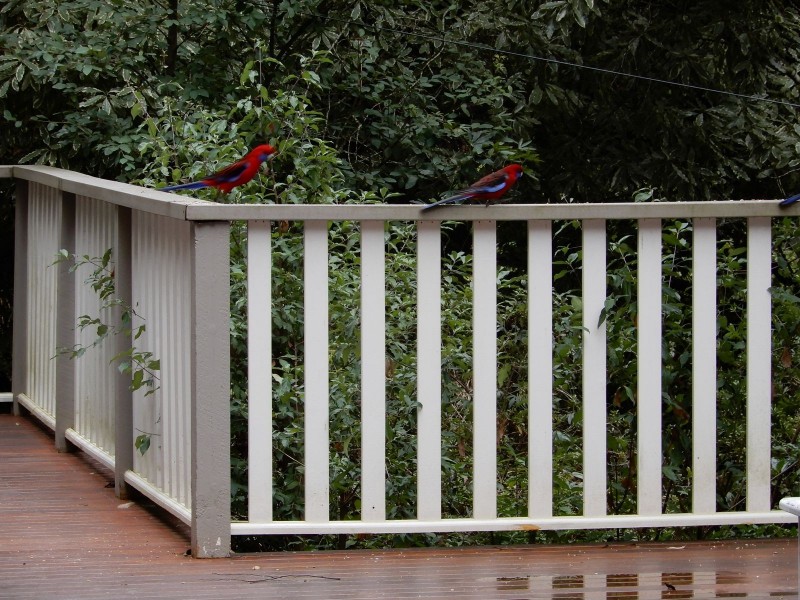 26 Upper Coonara Road, Olinda VIC 3788