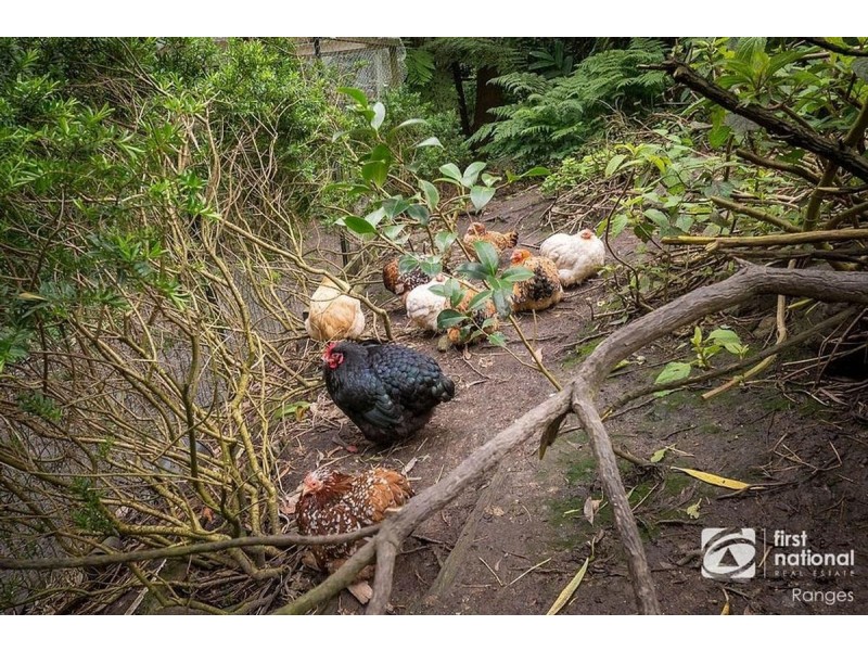 5 Tuttawatta Road, Selby VIC 3159