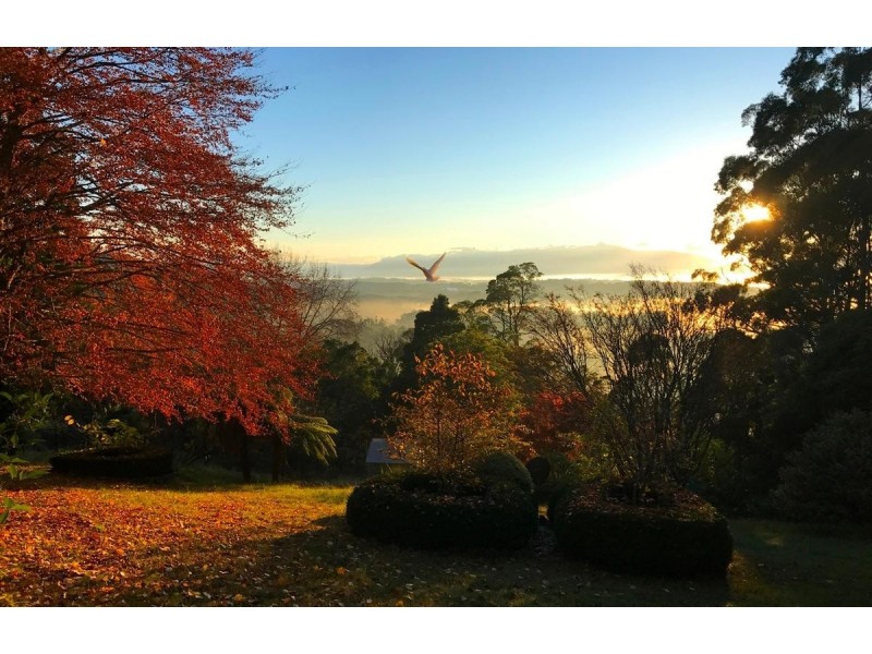 31 Grantulla Road, Kallista VIC 3791