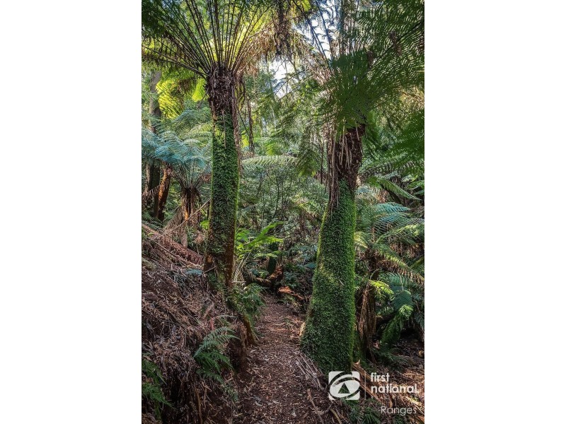 7A Victoria Grove, Ferny Creek VIC 3786
