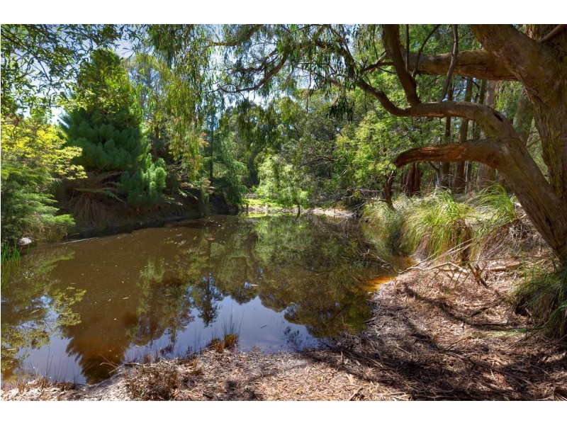 655 Gembrook-Tonimbuk Road, Gembrook VIC 3783