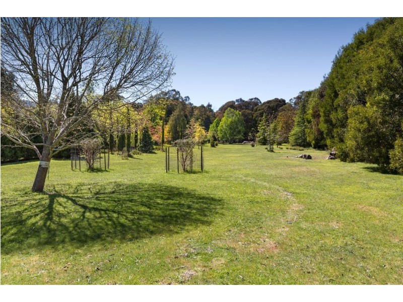 655 Gembrook-Tonimbuk Road, Gembrook VIC 3783