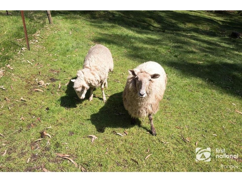 4 Long Pockitt Lane, Belgrave VIC 3160