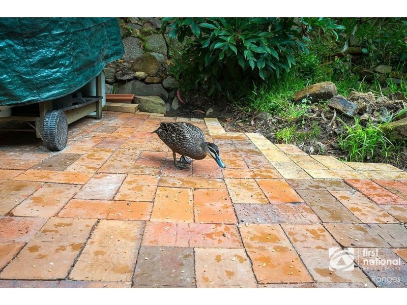 3 Hazelvale Road, Tecoma VIC 3160