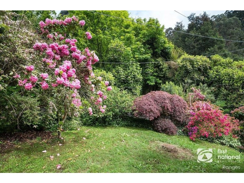 214 Monbulk Road, The Patch VIC 3792