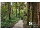 99 Priors Road, The Patch VIC 3792