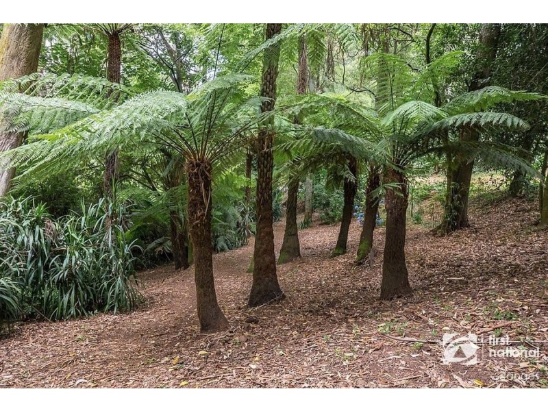 85 Kallista-Emerald Road, The Patch VIC 3792