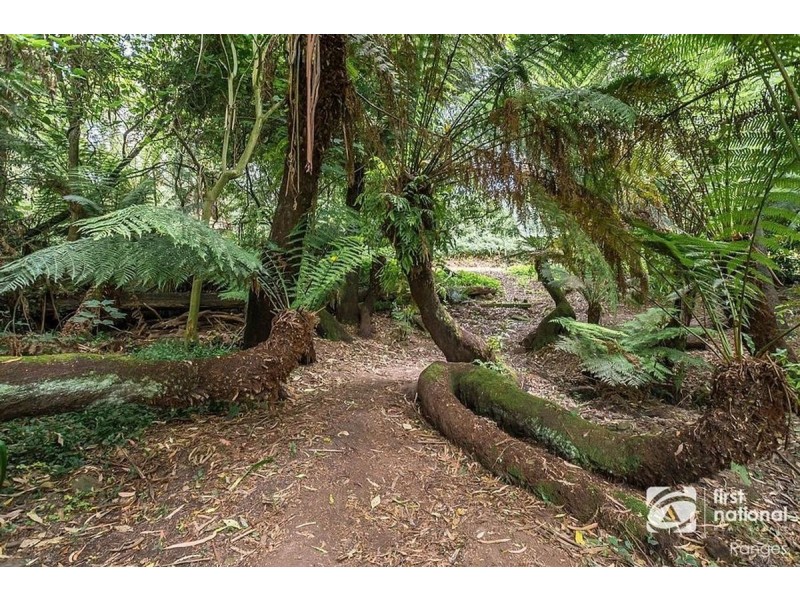 85 Kallista-Emerald Road, The Patch VIC 3792