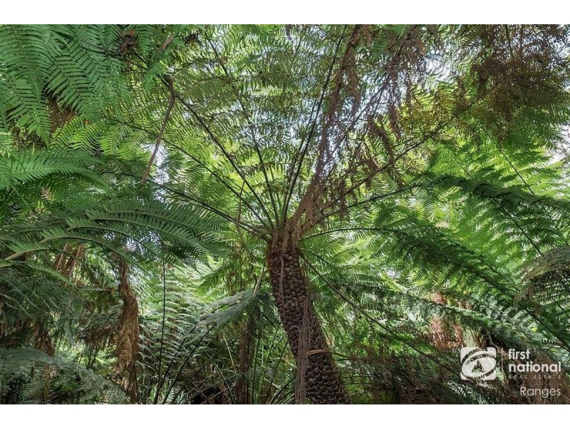 85 Kallista-Emerald Road, The Patch VIC 3792