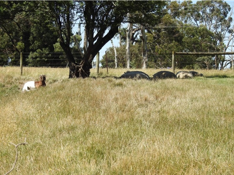 32 Deviation Road, Belgrave South VIC 3160