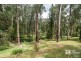 20 Byrne Street, Belgrave VIC 3160