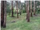 20 Byrne Street, Belgrave VIC 3160