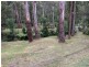 20 Byrne Street, Belgrave VIC 3160