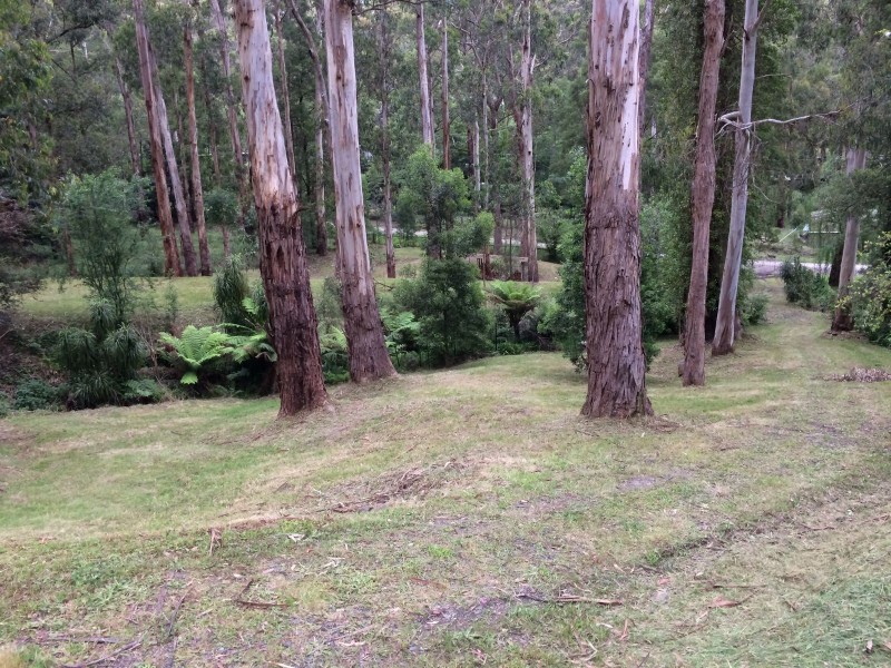 20 Byrne Street, Belgrave VIC 3160