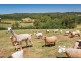230 Ure Road, Gembrook VIC 3783