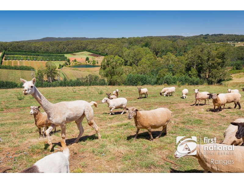 230 Ure Road, Gembrook VIC 3783