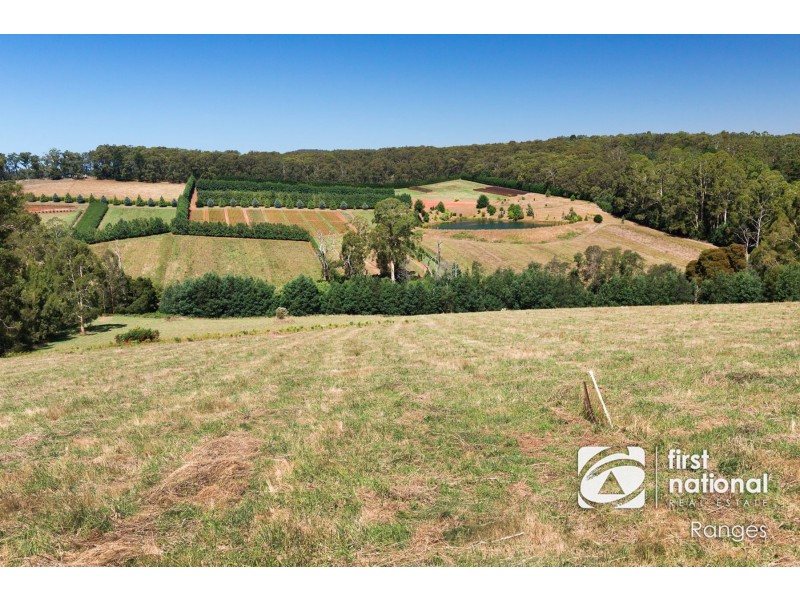 230 Ure Road, Gembrook VIC 3783