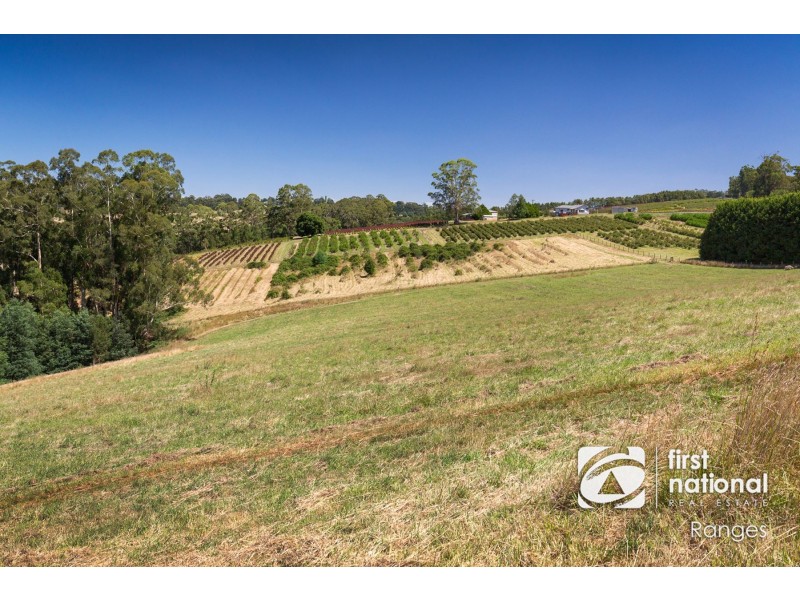 230 Ure Road, Gembrook VIC 3783