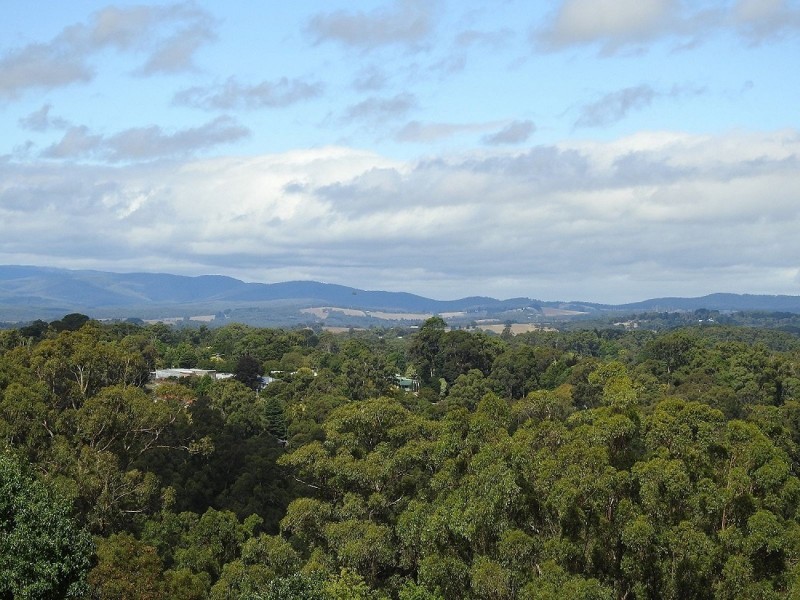 228 Olinda-Monbulk Road, Monbulk VIC 3793