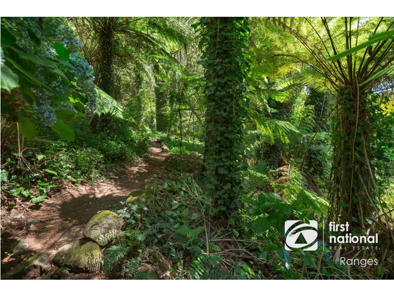 13 St James Avenue, Kallista VIC 3791