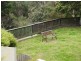 39 Belmont Avenue, Upwey VIC 3158