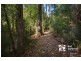 104 Stillwells Deviation, Avonsleigh VIC 3782
