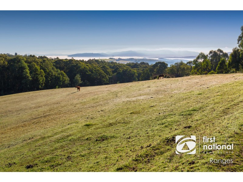 135 Phillip Road, Avonsleigh VIC 3782