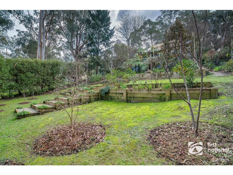 44 Belgrave-Gembrook Road, Belgrave VIC 3160