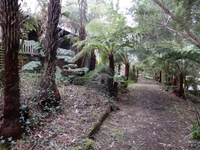 5 Colin Avenue, Cockatoo VIC 3781