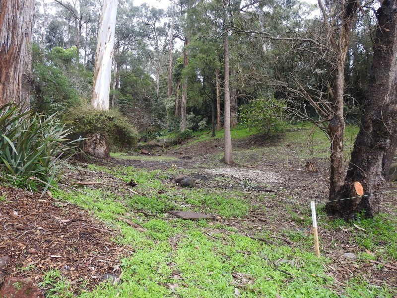 31 Fairy Dell Road, Tecoma VIC 3160