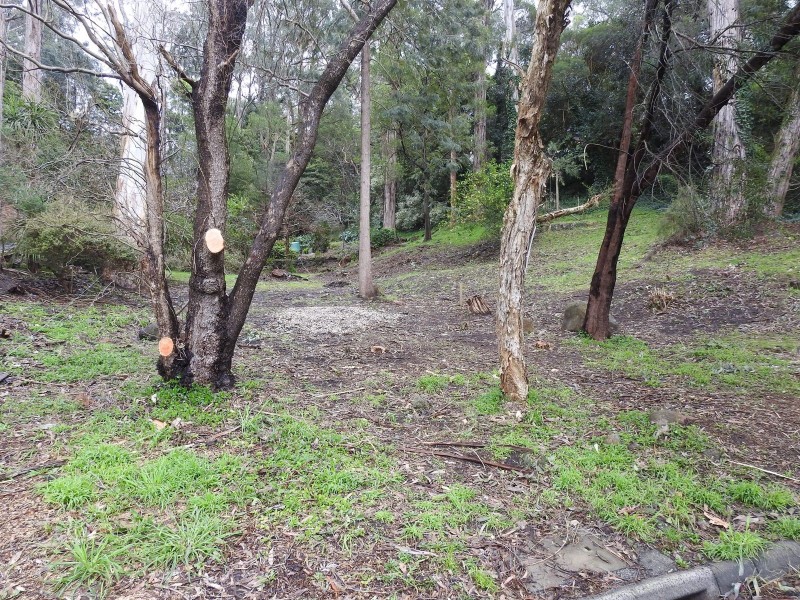 31 Fairy Dell Road, Tecoma VIC 3160