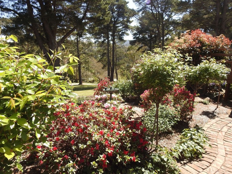 6 Cedar Grove, Selby VIC 3159