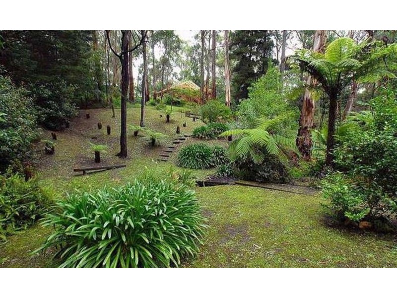 6 Wilga Avenue, Selby VIC 3159