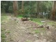 1 Leslie Street, Belgrave VIC 3160