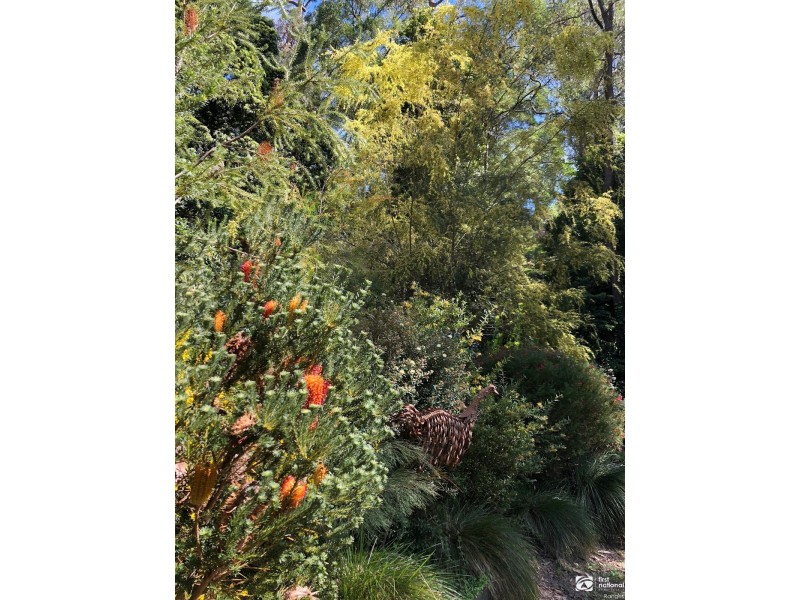 41 Fairy Dell Road, Tecoma VIC 3160