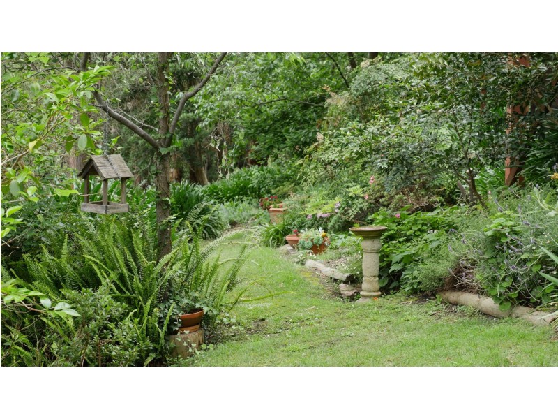 15 Waratah Avenue, Belgrave VIC 3160