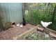 22 Hethersett Road, Sassafras VIC 3787