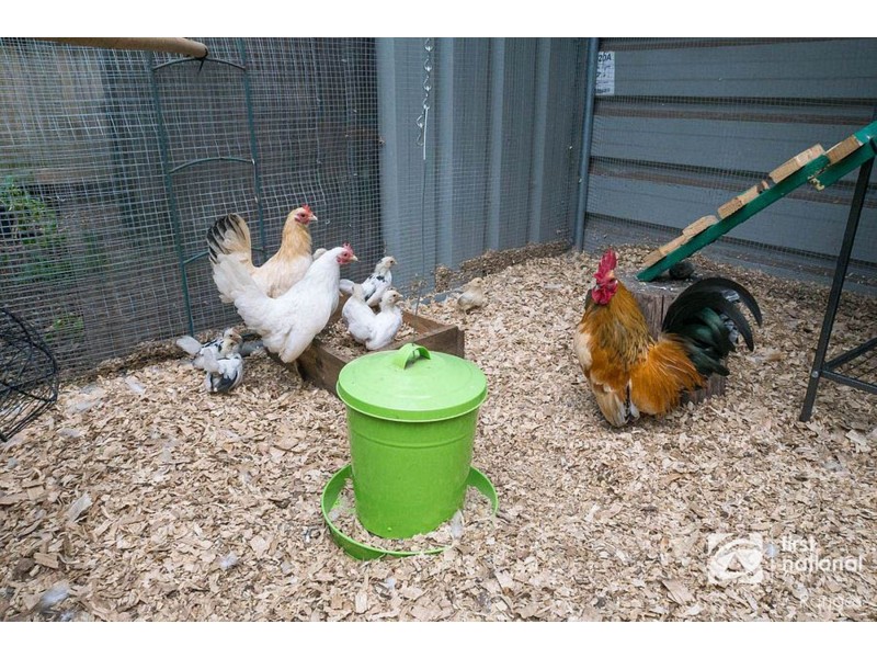 22 Hethersett Road, Sassafras VIC 3787