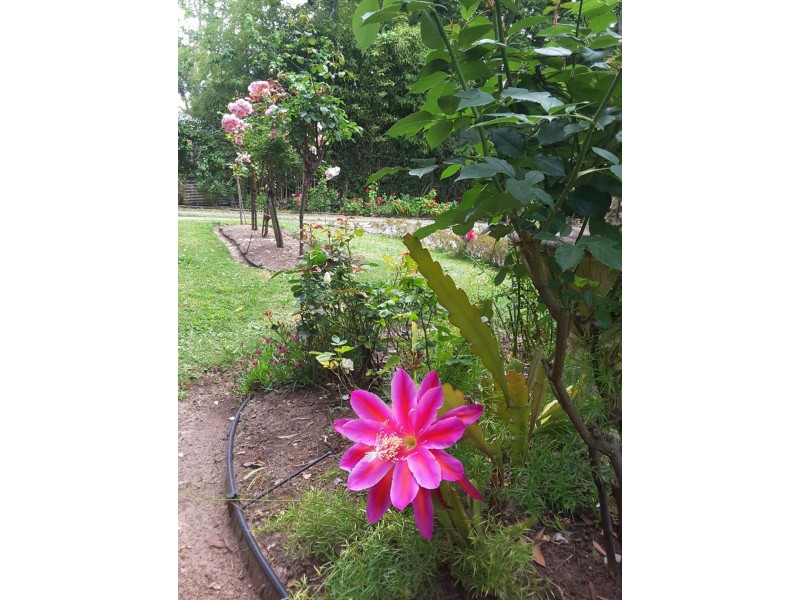 16 Lockwood Road, Belgrave Heights VIC 3160