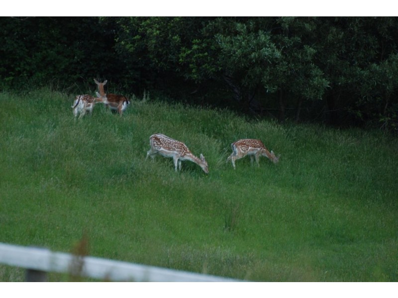 22 Batesleigh Road, Selby VIC 3159