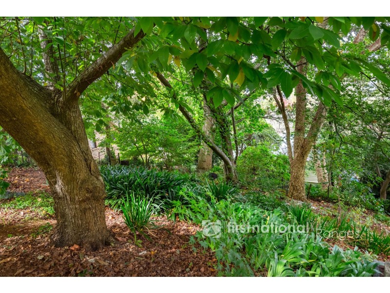 10 Hunter Street, Monbulk VIC 3793