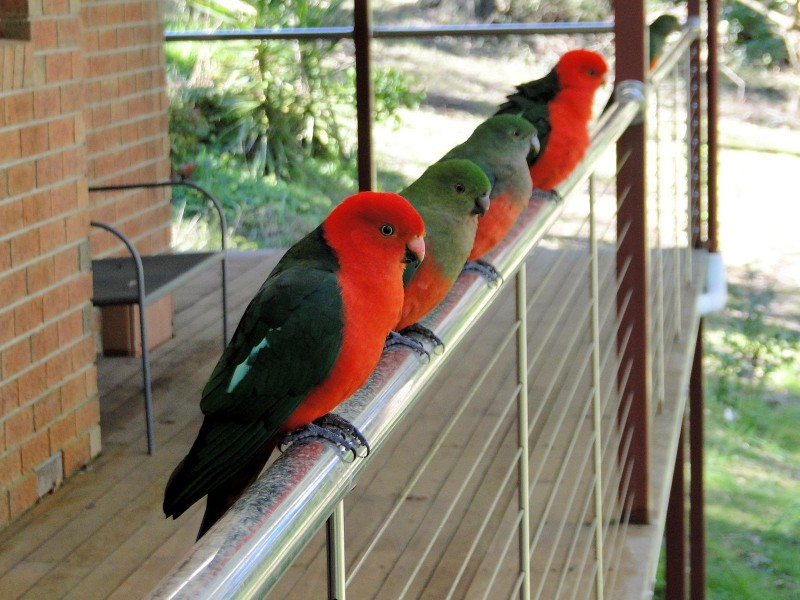 24 Stone Road Nth, Gembrook VIC 3783