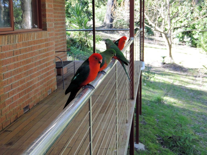 24 Stone Road Nth, Gembrook VIC 3783