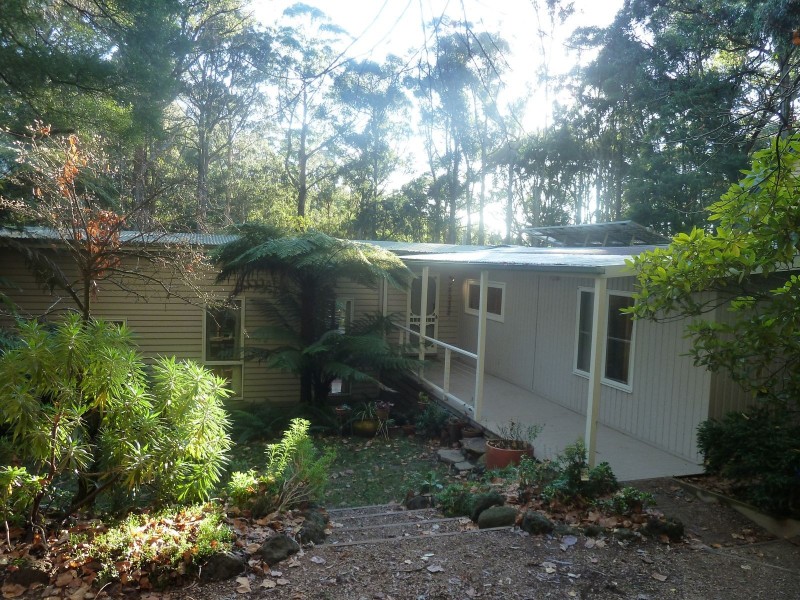 17 Alice Street, Sassafras VIC 3787